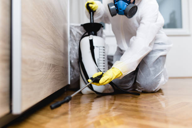 Best Emergency Pest Control  in Evansdale, IA