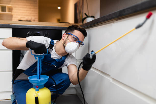 Best Local Pest Control Services  in Evansdale, IA
