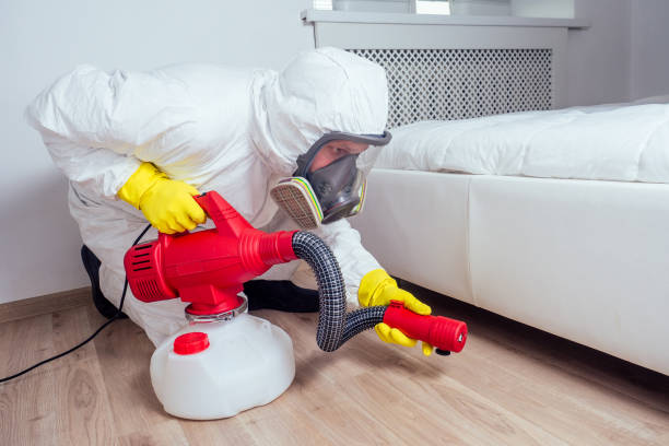 Best Insect Control  in Evansdale, IA