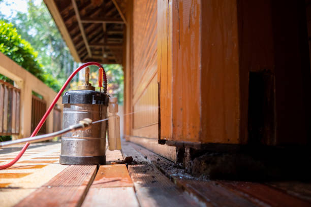 Best Ant Control Services  in Evansdale, IA