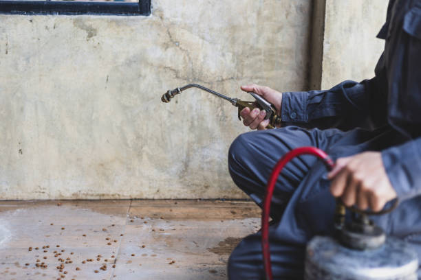 Best Pest Removal Services  in Evansdale, IA